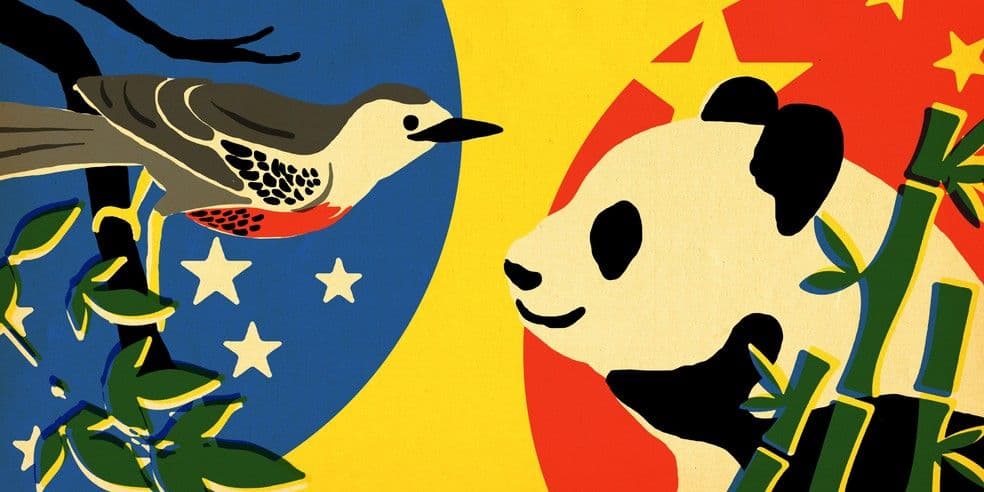 O que o Brasil quer da China?