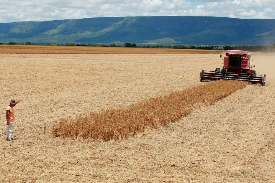 Recuperação da economia se deve a uma combinação de estímulos